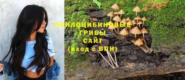 сатива Абаза