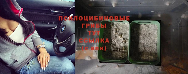 сатива Абаза