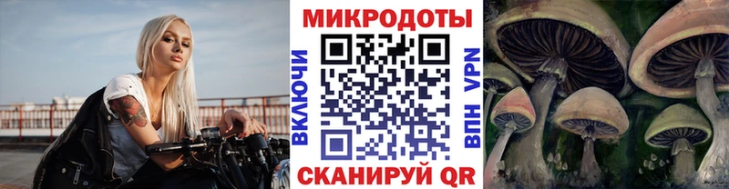 Галлюциногенные грибы Cubensis  где купить   Абдулино 
